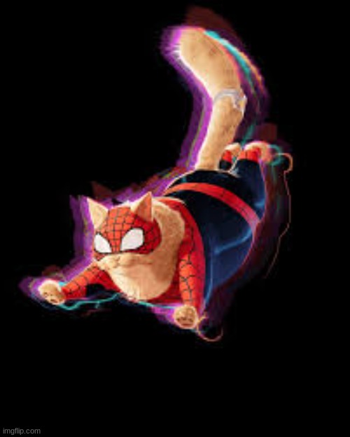 spider cat | image tagged in spider cat | made w/ Imgflip meme maker