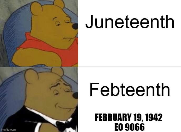 Another Democrat Win | Juneteenth; Febteenth; FEBRUARY 19, 1942 
EO 9066 | image tagged in tuxedo winnie the pooh | made w/ Imgflip meme maker
