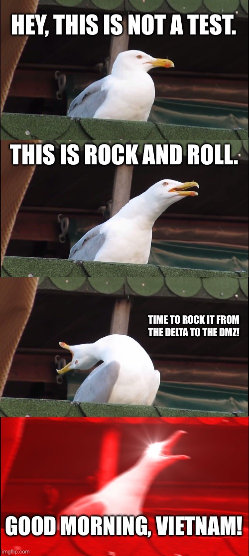 Good morning Vietnam | HEY, THIS IS NOT A TEST. THIS IS ROCK AND ROLL. TIME TO ROCK IT FROM THE DELTA TO THE DMZ! GOOD MORNING, VIETNAM! | image tagged in memes,inhaling seagull | made w/ Imgflip meme maker