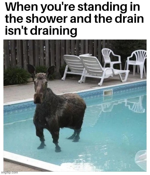 image tagged in shower,drain,uh oh | made w/ Imgflip meme maker