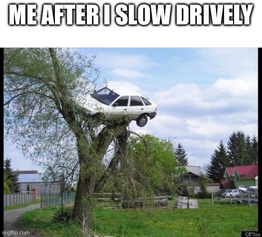 Secure Parking Meme | ME AFTER I SLOW DRIVELY | image tagged in memes,secure parking | made w/ Imgflip meme maker