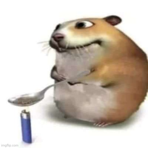 fatass hamster cooking | image tagged in fatass hamster cooking | made w/ Imgflip meme maker