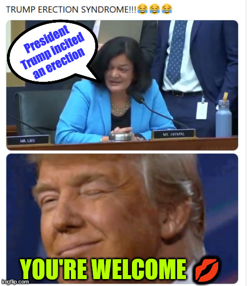 President Trump incited an erection | President Trump incited an erection; YOU'RE WELCOME 💋 | image tagged in rep,jayapal,accuses,president trump,incited an erection | made w/ Imgflip meme maker