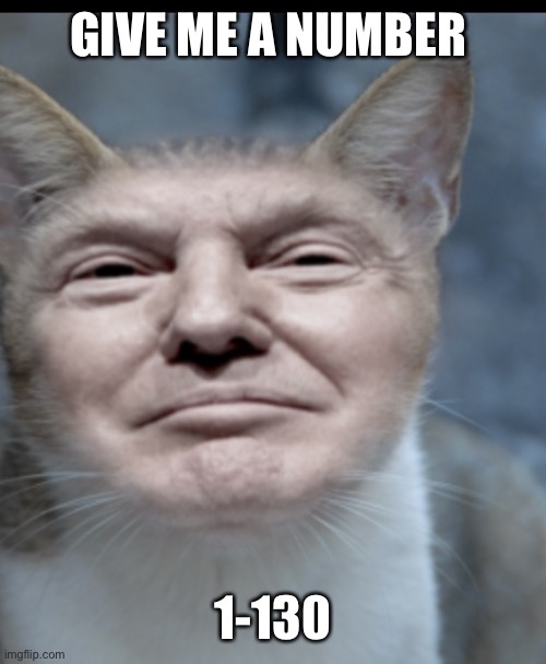 Donald trump cat | GIVE ME A NUMBER; 1-130 | image tagged in donald trump cat | made w/ Imgflip meme maker