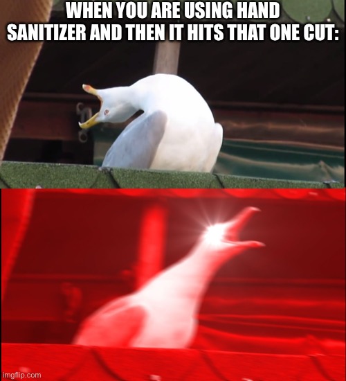 Screaming bird | WHEN YOU ARE USING HAND SANITIZER AND THEN IT HITS THAT ONE CUT: | image tagged in screaming bird | made w/ Imgflip meme maker