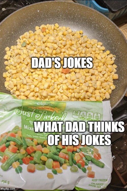 DAD'S JOKES WHAT DAD THINKS OF HIS JOKES | made w/ Imgflip meme maker