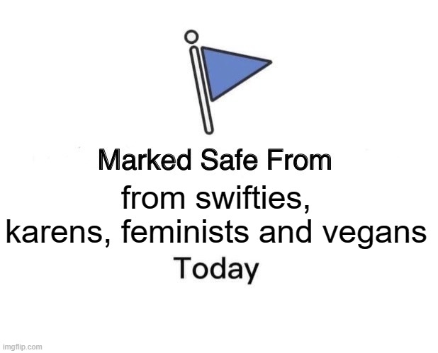 protect urselves guys, stay safe | from swifties, karens, feminists and vegans | image tagged in memes,marked safe from | made w/ Imgflip meme maker