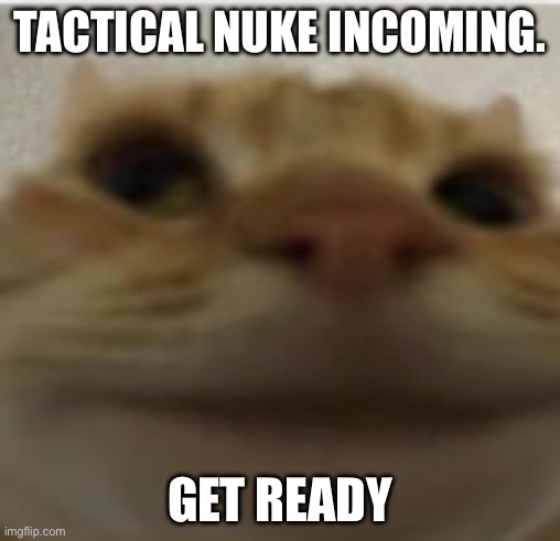 Front-Facing Camera Cat | TACTICAL NUKE INCOMING. GET READY | image tagged in front-facing camera cat | made w/ Imgflip meme maker