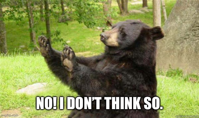 How about no bear | NO! I DON’T THINK SO. | image tagged in how about no bear | made w/ Imgflip meme maker