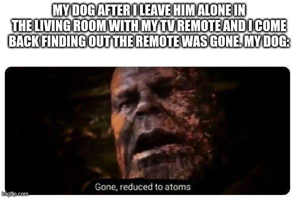 gone reduced to atoms | MY DOG AFTER I LEAVE HIM ALONE IN THE LIVING ROOM WITH MY TV REMOTE AND I COME BACK FINDING OUT THE REMOTE WAS GONE. MY DOG: | image tagged in gone reduced to atoms | made w/ Imgflip meme maker