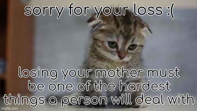 Sad kitten | sorry for your loss :( losing your mother must be one of the hardest things a person will deal with | image tagged in sad kitten | made w/ Imgflip meme maker