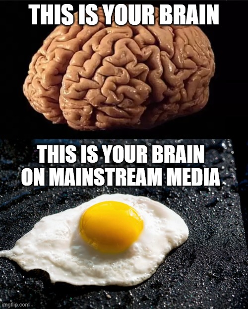 This is your brain | THIS IS YOUR BRAIN; THIS IS YOUR BRAIN ON MAINSTREAM MEDIA | image tagged in this is your brain,democrats,mainstream media | made w/ Imgflip meme maker