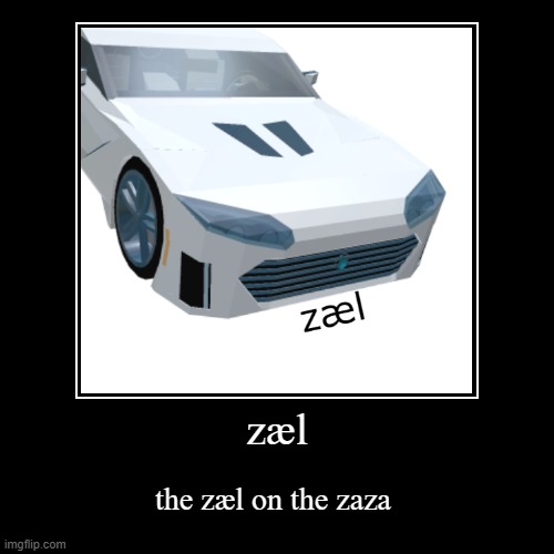 zæl | the zæl on the zaza | image tagged in funny,demotivationals | made w/ Imgflip demotivational maker