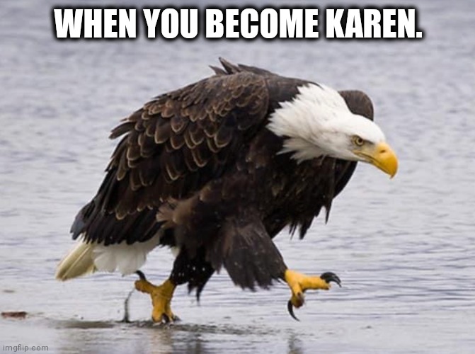 Angry bird | WHEN YOU BECOME KAREN. | image tagged in angry eagle | made w/ Imgflip meme maker