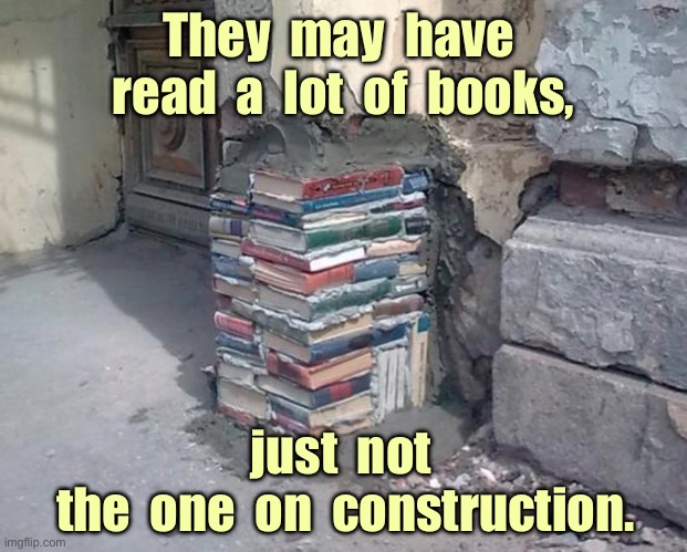 Building with books | They  may  have  read  a  lot  of  books, just  not  the  one  on  construction. | image tagged in construction,read a lot,just not on,safe building methods,one job | made w/ Imgflip meme maker