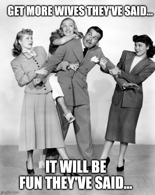 They've said | GET MORE WIVES THEY'VE SAID... IT WILL BE FUN THEY'VE SAID... | image tagged in polygamy,polygyny,wives,marriage,meme | made w/ Imgflip meme maker