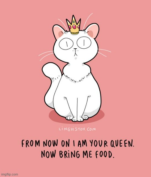 A Cats Way Of Thinking | image tagged in memes,comics/cartoons,cats,the queen,bring it,food | made w/ Imgflip meme maker