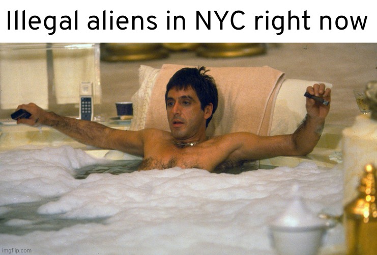 I'm gonna identify as an illegal alien. F*ck it | Illegal aliens in NYC right now | image tagged in memes | made w/ Imgflip meme maker