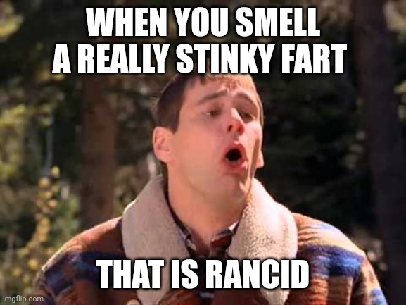 Stinky fart | WHEN YOU SMELL A REALLY STINKY FART; THAT IS RANCID | image tagged in dumb and dumber gagging,funny memes | made w/ Imgflip meme maker