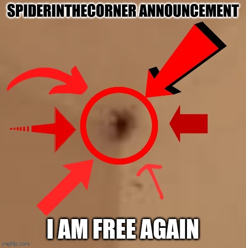 i can not be contained forever | I AM FREE AGAIN | image tagged in spiderinthecorner announcement | made w/ Imgflip meme maker