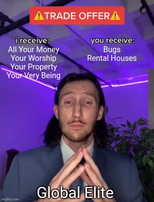 This is a tough choice | All Your Money
Your Worship
Your Property
Your Very Being; Bugs
Rental Houses; Global Elite | image tagged in wef,democrats,republicans,donald trump,joe exotic,conspiracy theory | made w/ Imgflip meme maker