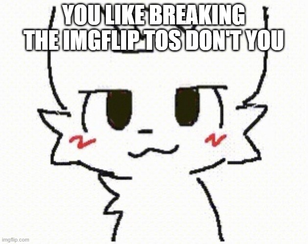 Trying to be hip with the kids :) | YOU LIKE BREAKING THE IMGFLIP TOS DON'T YOU | image tagged in you like kissing boys | made w/ Imgflip meme maker
