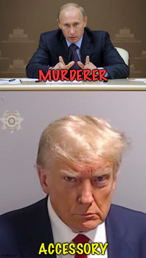 The Bottom Line | MURDERER; ACCESSORY | image tagged in memes,vladimir putin,donald trump mugshot | made w/ Imgflip meme maker
