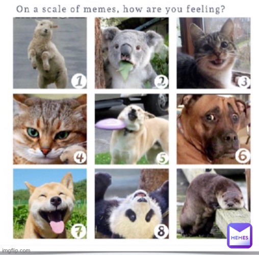scale of memes | image tagged in scale of memes | made w/ Imgflip meme maker