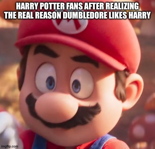 Scared mario | HARRY POTTER FANS AFTER REALIZING THE REAL REASON DUMBLEDORE LIKES HARRY | image tagged in scared mario | made w/ Imgflip meme maker