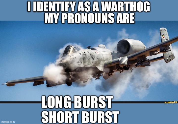 Please honor my wishes | I IDENTIFY AS A WARTHOG; MY PRONOUNS ARE; LONG BURST; SHORT BURST | image tagged in a10 warthog | made w/ Imgflip meme maker
