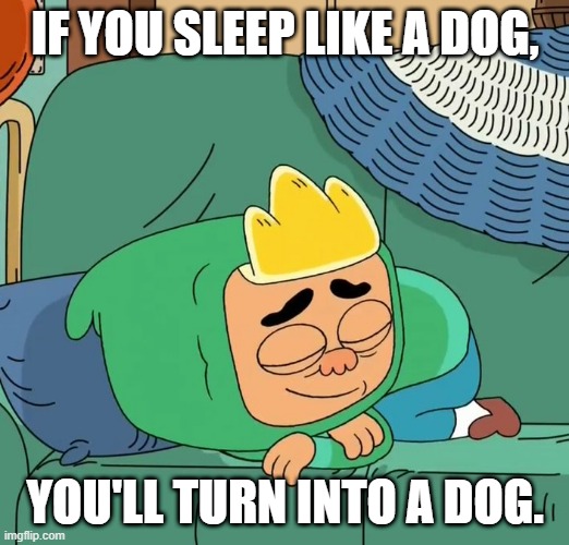 Dog Damn it! | IF YOU SLEEP LIKE A DOG, YOU'LL TURN INTO A DOG. | image tagged in bernie sleeping like a dog,dog days,ollie's pack,paradise pd,police dogs | made w/ Imgflip meme maker