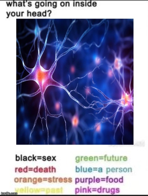 What's going on inside your head? | image tagged in what's going on inside your head | made w/ Imgflip meme maker