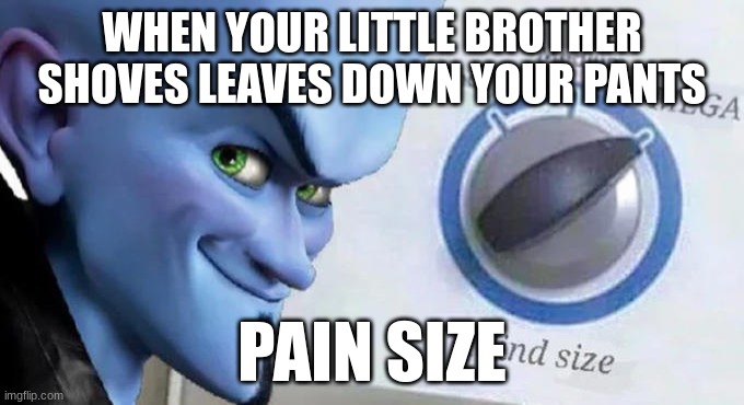 Mega Mind Size | WHEN YOUR LITTLE BROTHER SHOVES LEAVES DOWN YOUR PANTS; PAIN SIZE | image tagged in mega mind size | made w/ Imgflip meme maker