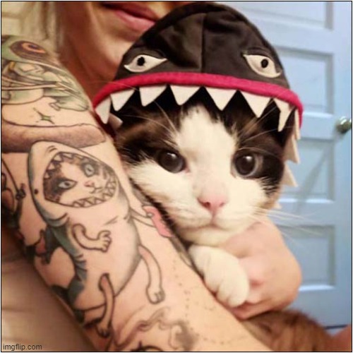 I Approve Of This Tat ! | image tagged in cats,tattoos | made w/ Imgflip meme maker