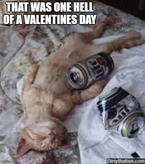 meme by Brad cat had a great Valentines Day | THAT WAS ONE HELL OF A VALENTINES DAY | image tagged in cats,funny cat memes,valentines day,humor,funny cat,funny | made w/ Imgflip meme maker
