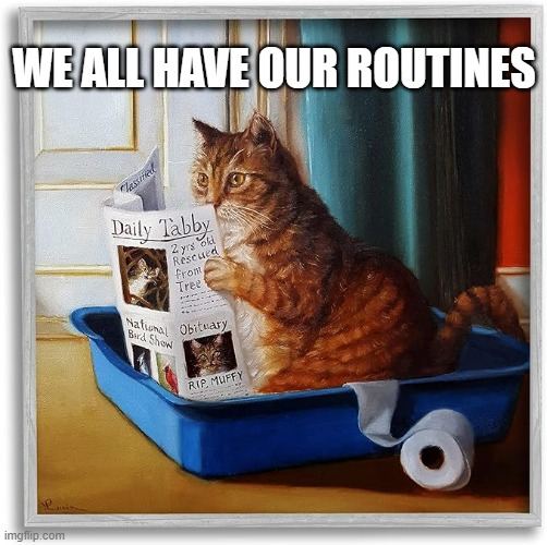 meme by Brad cat reading newspaper while in litter box | WE ALL HAVE OUR ROUTINES | image tagged in cats,funny cat memes,humor,funny memes,funny | made w/ Imgflip meme maker