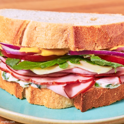 This is an excellent sandwich | image tagged in big ham sandwich | made w/ Imgflip meme maker