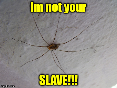 Im not your SLAVE!!! | made w/ Imgflip meme maker