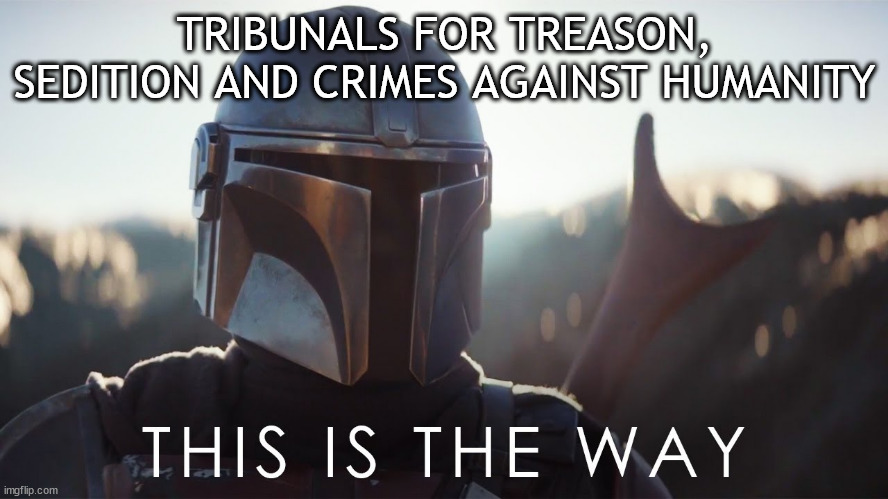 This is the way | TRIBUNALS FOR TREASON, SEDITION AND CRIMES AGAINST HUMANITY | image tagged in this is the way | made w/ Imgflip meme maker