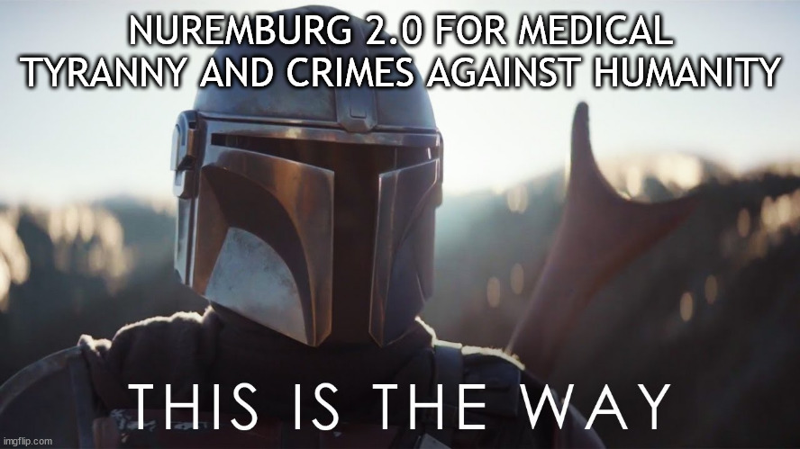 This is the way | NUREMBURG 2.0 FOR MEDICAL TYRANNY AND CRIMES AGAINST HUMANITY | image tagged in this is the way | made w/ Imgflip meme maker