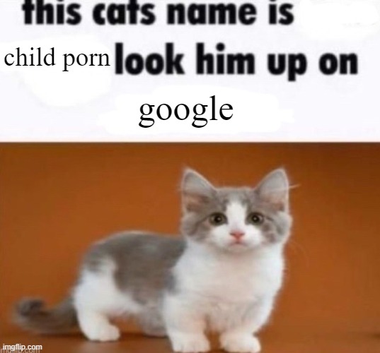 This cats name | child porn google | image tagged in this cats name | made w/ Imgflip meme maker