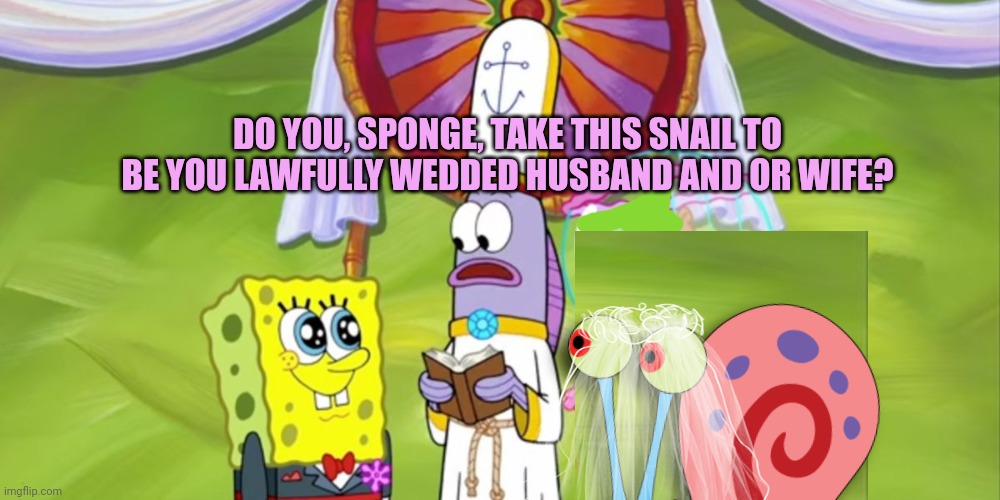 California lore | DO YOU, SPONGE, TAKE THIS SNAIL TO BE YOU LAWFULLY WEDDED HUSBAND AND OR WIFE? | image tagged in spongebob,marries,gary,stop it get some help,california | made w/ Imgflip meme maker