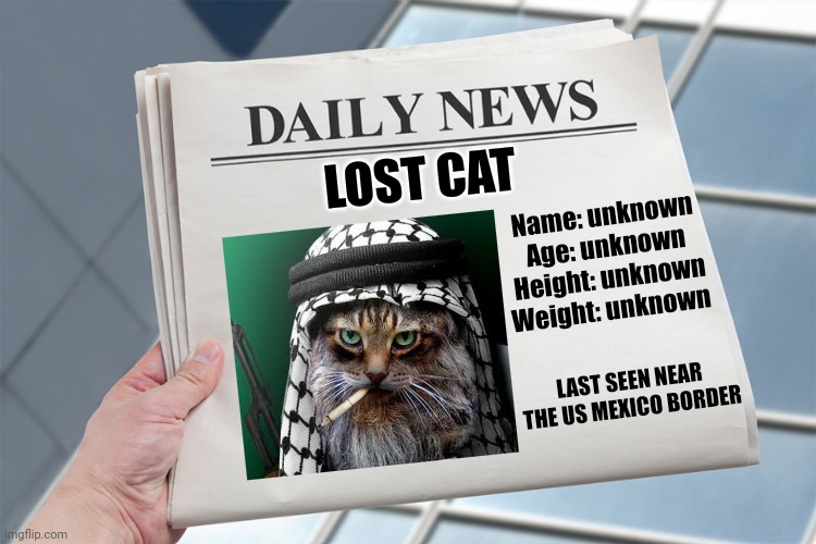 Unknown Got Aways | LOST CAT; Name: unknown
Age: unknown
Height: unknown
Weight: unknown; LAST SEEN NEAR THE US MEXICO BORDER | image tagged in open borders,nwo | made w/ Imgflip meme maker