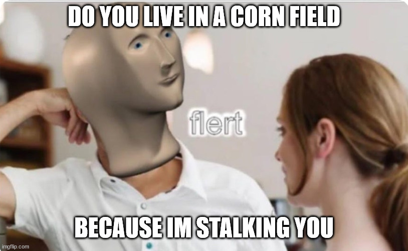 The worst thing to say to your crush... | DO YOU LIVE IN A CORN FIELD; BECAUSE IM STALKING YOU | image tagged in flert | made w/ Imgflip meme maker