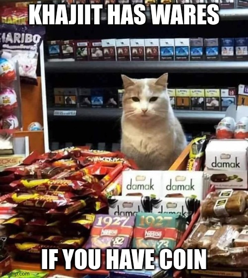 Khajiit has wares if you have coin | KHAJIIT HAS WARES; IF YOU HAVE COIN | image tagged in khajiit has wares | made w/ Imgflip meme maker