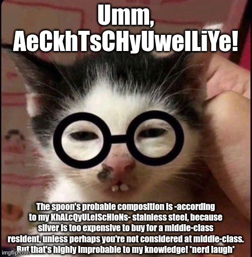 ERM!! ACTUALLY | Umm, AeCkhTsCHyUwelLiYe! The spoon's probable composition is -according to my KhALcQyULeiScHioNs- stainless steel, because silver is too exp | image tagged in erm actually | made w/ Imgflip meme maker