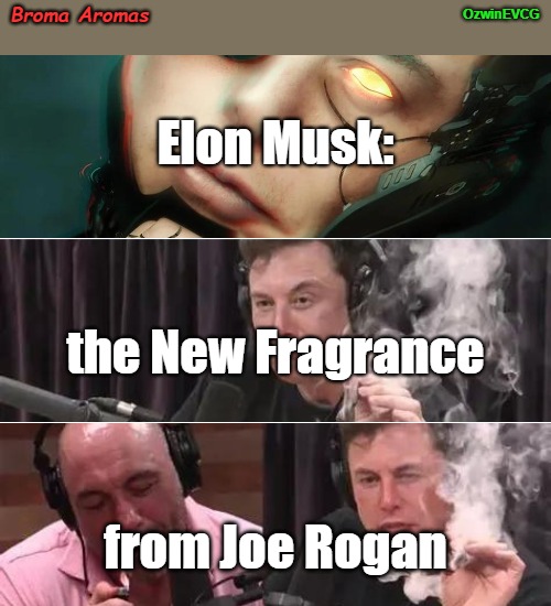 Broma Aromas | OzwinEVCG; Broma Aromas; Elon Musk:; the New Fragrance; from Joe Rogan | image tagged in advertisement,joe rogan,cologne,elon musk,smoking weed,bromance | made w/ Imgflip meme maker