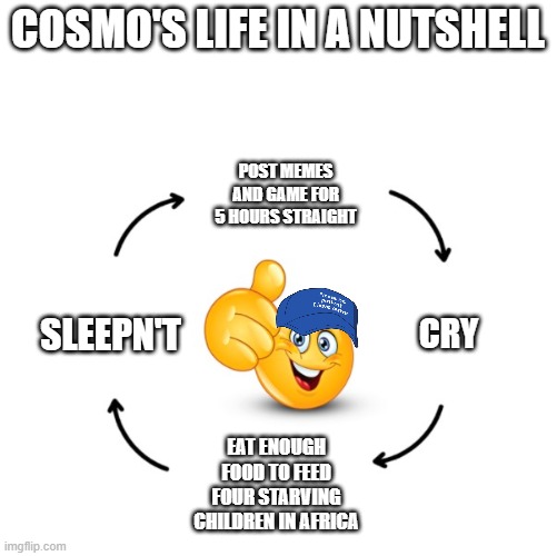 ah yes | COSMO'S LIFE IN A NUTSHELL; POST MEMES AND GAME FOR 5 HOURS STRAIGHT; SLEEPN'T; CRY; EAT ENOUGH FOOD TO FEED FOUR STARVING CHILDREN IN AFRICA | image tagged in emoji cycle hd | made w/ Imgflip meme maker