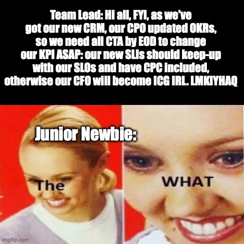 weird work acronyms | Team Lead: Hi all, FYI, as we've got our new CRM, our CPO updated OKRs, so we need all CTA by EOD to change our KPI ASAP: our new SLIs should keep-up with our SLOs and have CPC included, otherwise our CFO will become ICG IRL. LMKIYHAQ; Junior Newbie: | image tagged in the what | made w/ Imgflip meme maker