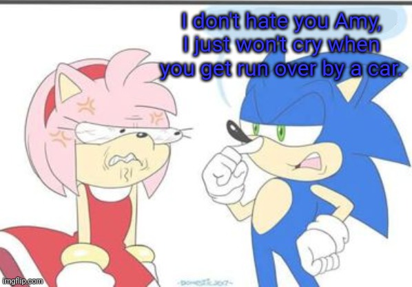 Sonic x Amy lore | I don't hate you Amy, I just won't cry when you get run over by a car. | image tagged in sonic the hedgehog,amy rose,roadkill | made w/ Imgflip meme maker